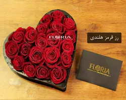 باکس گل قلب مخصوص کادو فلوریا | خرید باکس گل قلب و جعبه گل | از گل فروشی آنلاین فلوریا