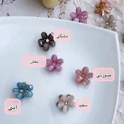 مینی کلیپس شکوفه رنگی