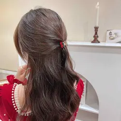 مینی کلیپس فلزی گیلاس