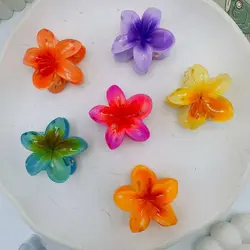 مینی کلیپس پلومریا