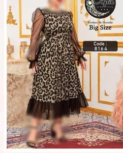 کد 8164 اف مجلسی - نایس مزون