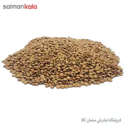 عدس ریز خارجی*