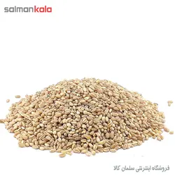 جو پوست كنده Hordeum vulgare