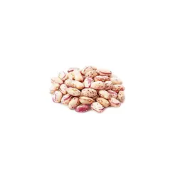لوبيا چيتی اعلاء