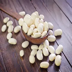 لوبيا سفيد اعلاء