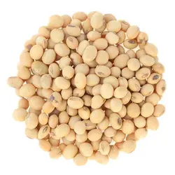 سويا آجيلی