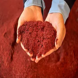 سماق قرمز*