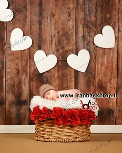 بک دراپ سبد گل نوزاد و تم ولنتاین کد IBD-4647 - ایران بک دراپ