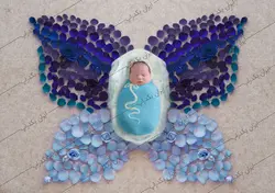 بک دراپ نوزاد پروانه گلبرگ های رز آبی کد IBD-5784 - ایران بک دراپ