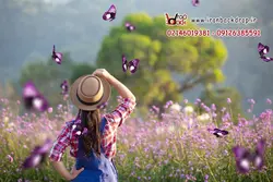 مجموعه overlays فرمت PNG پروانه کد IBD-5683 - ایران بک دراپ