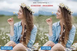 مجموعه overlays فرمت PNG قاصدک ها کد IBD-7942 - ایران بک دراپ