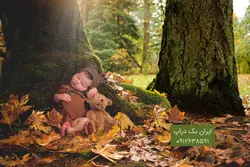 بک دراپ فضای باز پاییزی نوزاد و کودک کد IBD-6026