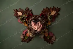 بک دراپ عکاسی آتلیه ای نوزاد پروانه ی پاییزی کد IBD-8778