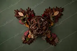 بک دراپ عکاسی آتلیه ای نوزاد پروانه ی پاییزی کد IBD-8778