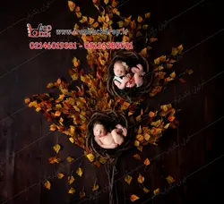 بک دراپ عکاسی دوقلو نوزادی درخت پاییزی کد IBD-6139