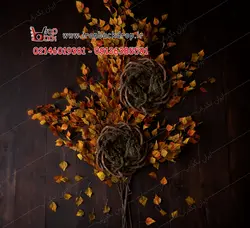 بک دراپ عکاسی دوقلو نوزادی درخت پاییزی کد IBD-6139