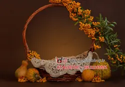 بک گراند عکاسی کودکانه و نوزادی تم پاییز و هالووین کد IBD-7147