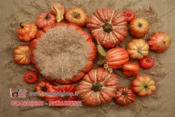 بک گراند عکاسی نوزاد تم هالووین بسیار زیبا کد IBD-7701