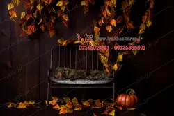 بک گراند عکاسی کودک و نوزاد تم پاییز تیره کد IBD-4416