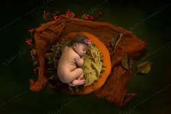 بک دراپ نوزاد پاییز و هالووین آتلیه ای کد IBD-7630