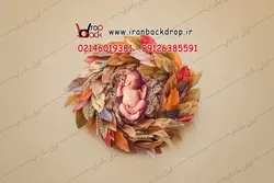 بک گراند عکاسی نوزادی برگ ها پاییزی کد IBD-3641