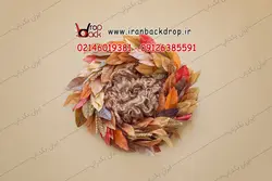 بک گراند عکاسی نوزادی برگ ها پاییزی کد IBD-3641