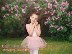 مجموعه بک گراند فضای باز تابستانی و بهاره کد IBD-2104