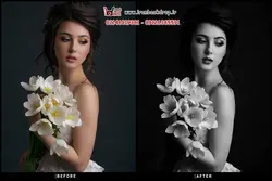 35 پریست لایت روم و فتوشاپ - برای ادیت عکس عروسی کد IBD-4067