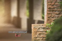 بک گراند عکاسی بهار، بک دراپ دیجیتال تابستانی، فانتزی  کد IBD-5005