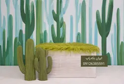 بک دراپ عکاسی کاکتوس های زیبا نوزاد و کودک کد IBD-1536