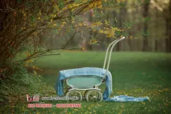 بک گراند عکاسی فضای باز ویژه بهار و تابستان کد IBD-5396