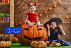مجموعه بک دراپ جشن هالووین کودک و نوزاد کد IBD-3357