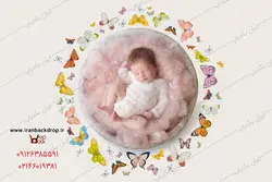 بک دراپ عکاسی نوزاد با پروانه های نقاشی شده فانتزی کد IBD-2602