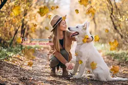 مجموعه 0verlays برگ های پاییزی فرمت PNG کد IBD-3716