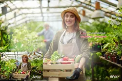 مجموعه 0verlays نور و سایه با فرمت PNG کد IBD-9479