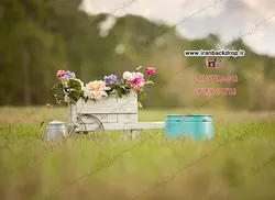 بک گراند عکاسی دختری در مزرعه 1 کد IBD-1023