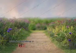 بک گراند عکاسی فضای باز بهاری و تابستانی همه ی سنین کد IBD-6195