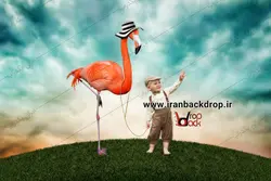 بک گراند عکاسی فانتزی فلامینگو ویژه کودک کد IBD-3752