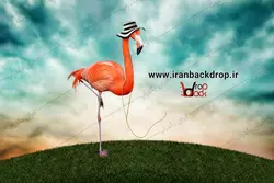 بک گراند عکاسی فانتزی فلامینگو ویژه کودک کد IBD-3752