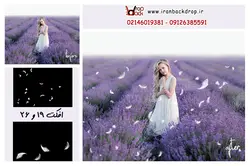 30 عدد افکت پر با فرمت PNG کد IBD-7795