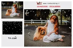 30 عدد افکت پر با فرمت PNG کد IBD-7795