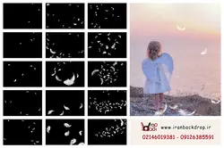 30 عدد افکت پر با فرمت PNG کد IBD-7795