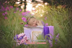 بک دراپ عکاسی نوزاد فضای باز، تابستانی سبد با گل های بنفش کد IBD-9396