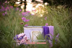 بک دراپ عکاسی نوزاد فضای باز، تابستانی سبد با گل های بنفش کد IBD-9396
