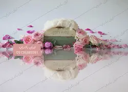بک گراند نوزاد بهاری با رزهای صورتی عکاسی کد IBD-6607