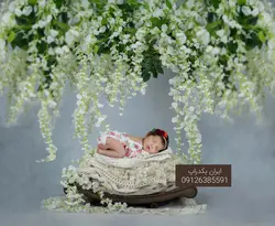 بک دراپ عکاسی نوزاد شاخه درخت سبز در فضای آتلیه کد IBD-5225