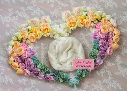 بک دراپ نوزاد قلب با رزهای رنگی آتلیه عکاسی کد IBD-3557