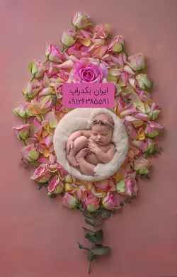 بک دراپ عکاسی نوزاد رز صورتی در فضای آتلیه کد IBD-1389