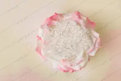 بک گراند نوزاد گل رز صورتی آتلیه ی عکاسی کد IBD-1320