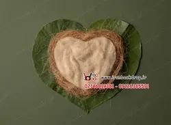 بک دراپ دیجیتال عکاسی ولنتاین نوزادی برگ سبز کد IBD-8483